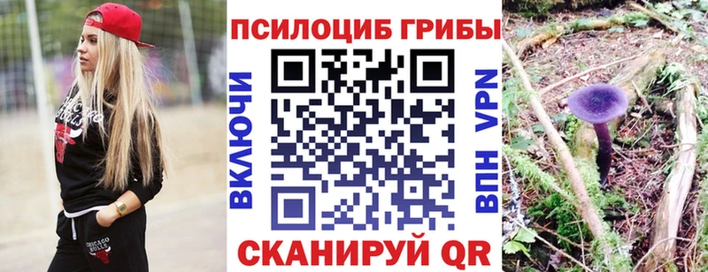 Галлюциногенные грибы мухоморы  Торопец 